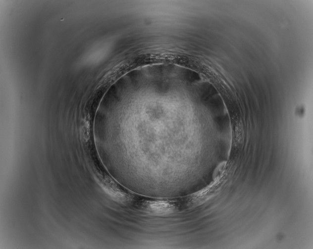 X0000100960183200807011341
