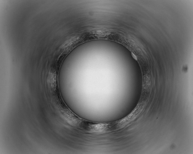 X0000100960184200807011341