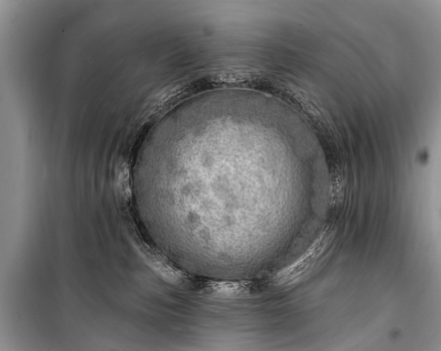 X0000100960187200807011341