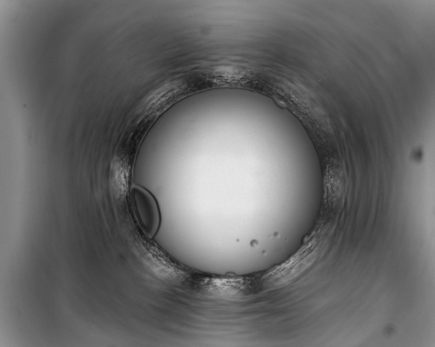 X0000100960188200807011341