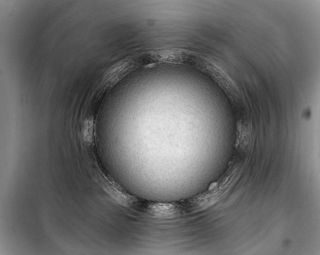 X0000100960189200807011341