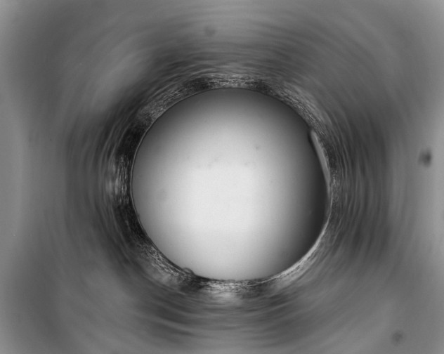 X0000100960190200807011341