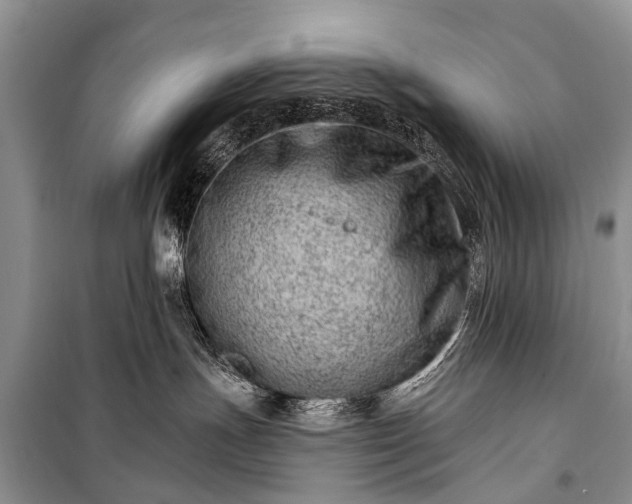 X0000100960191200807011341