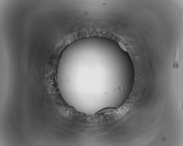 X0000100960192200807011341