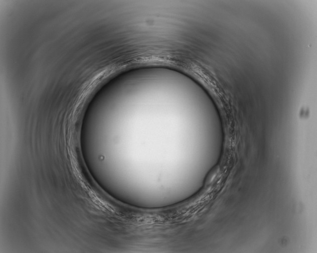 X0000100960193200807011340