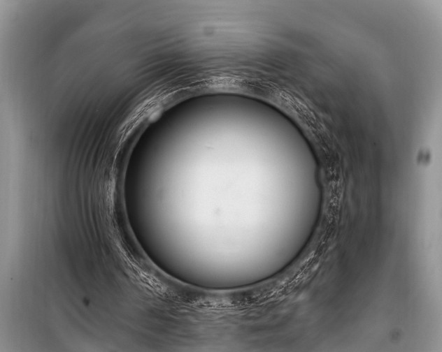 X0000100960194200807011340
