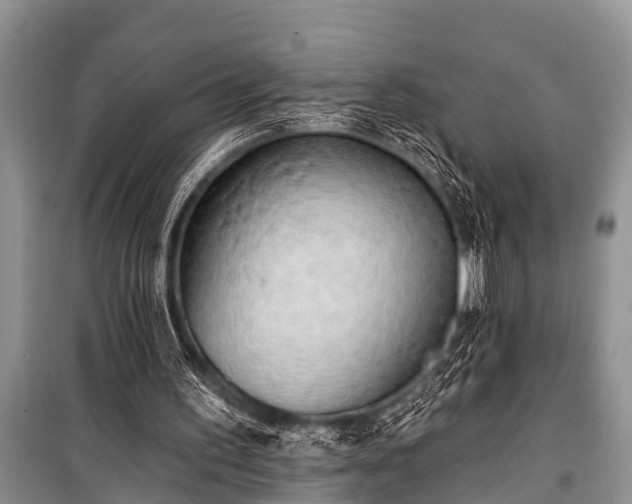 X0000100960195200807011340