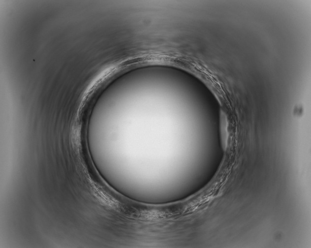 X0000100960197200807011340