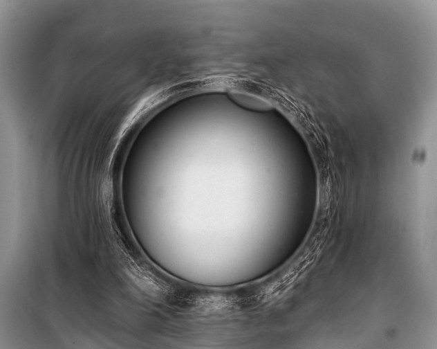 X0000100960198200807011340