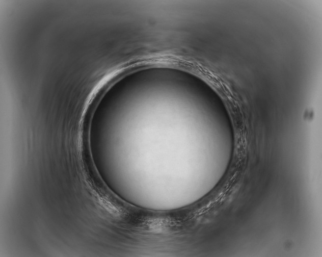X0000100960200200807011340