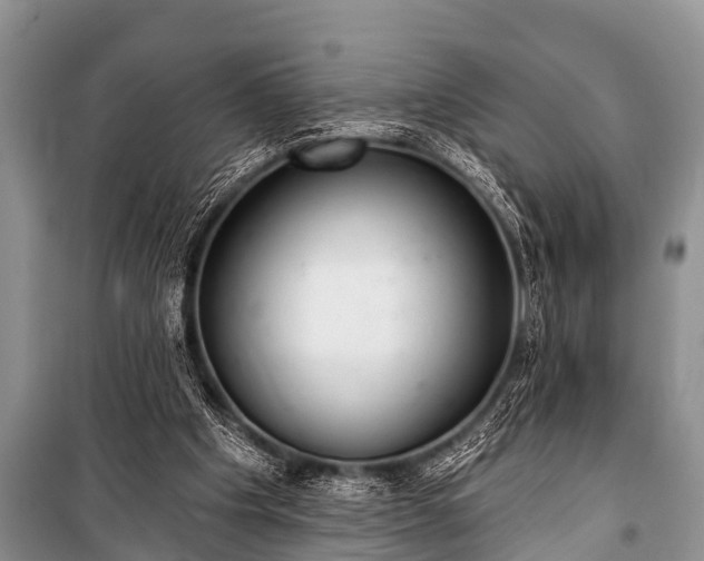 X0000100960201200807011340