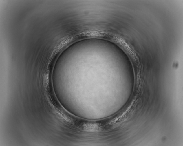 X0000100960202200807011340