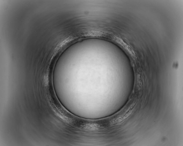X0000100960203200807011340