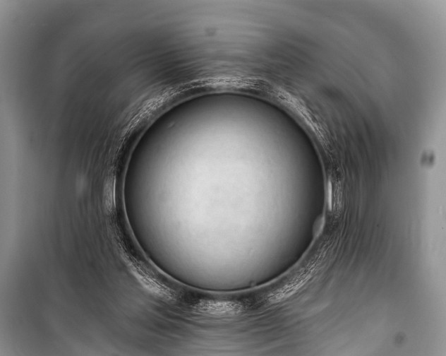 X0000100960205200807011340