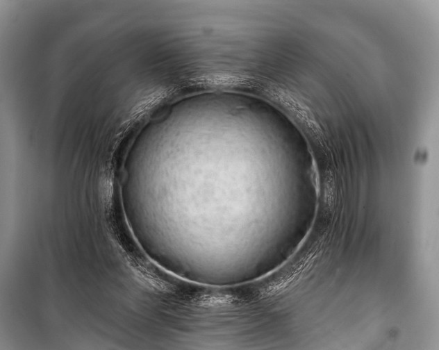 X0000100960206200807011340