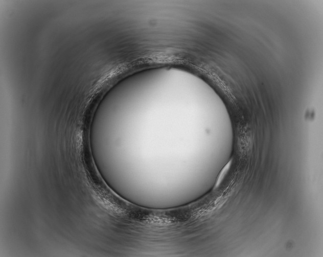 X0000100960207200807011340