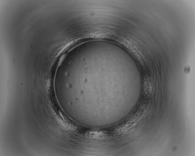 X0000100960208200807011340