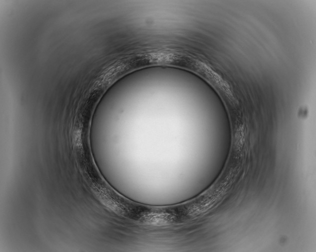 X0000100960209200807011340