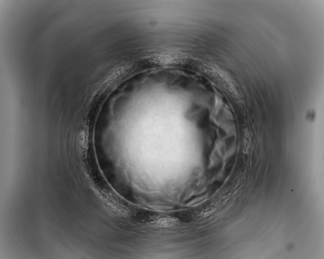 X0000100960210200807011340