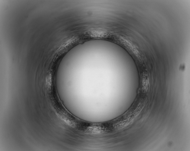 X0000100960211200807011340