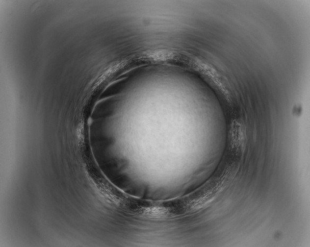 X0000100960212200807011340