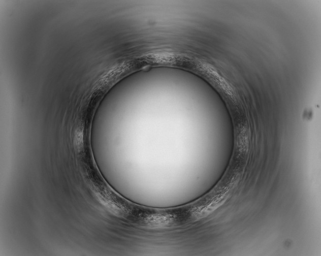 X0000100960213200807011340