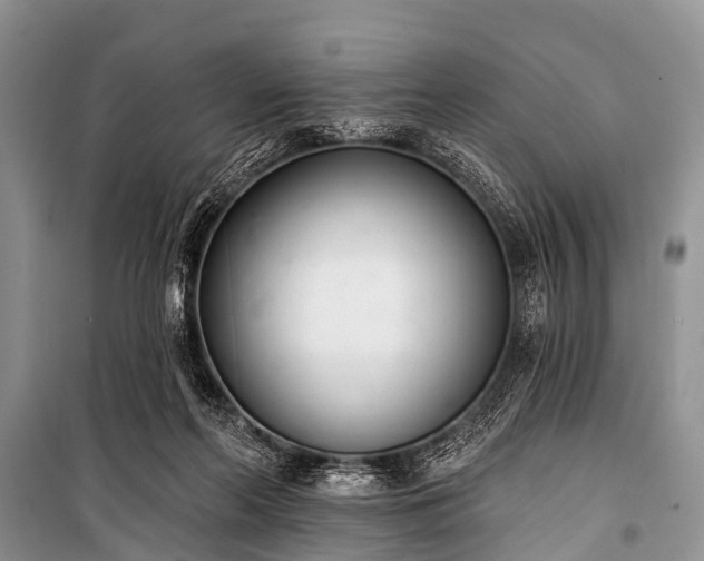 X0000100960214200807011340