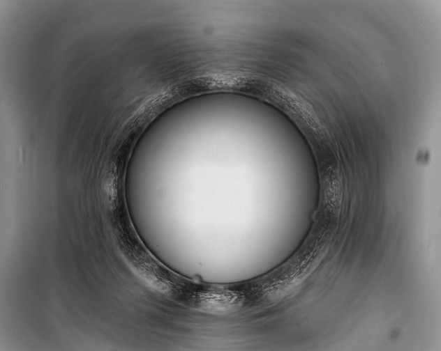 X0000100960215200807011340