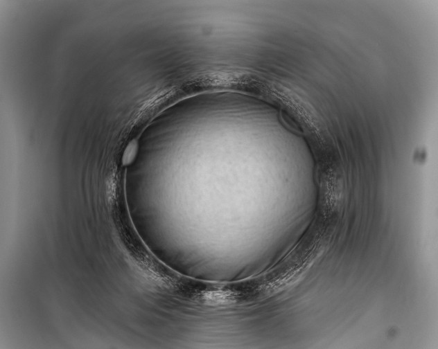X0000100960216200807011340