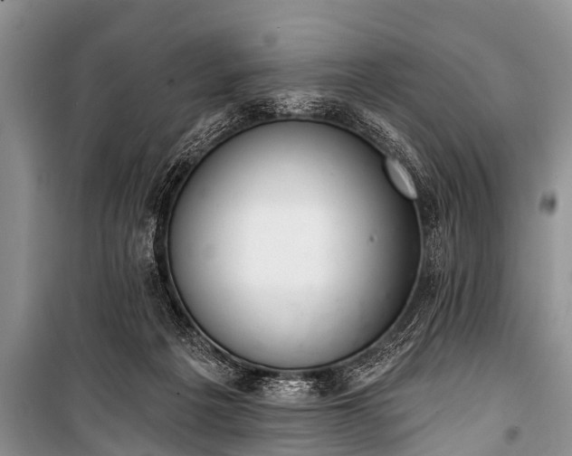 X0000100960217200807011340