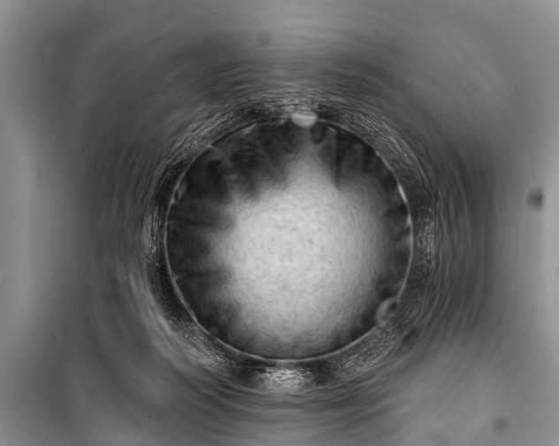 X0000100960218200807011340