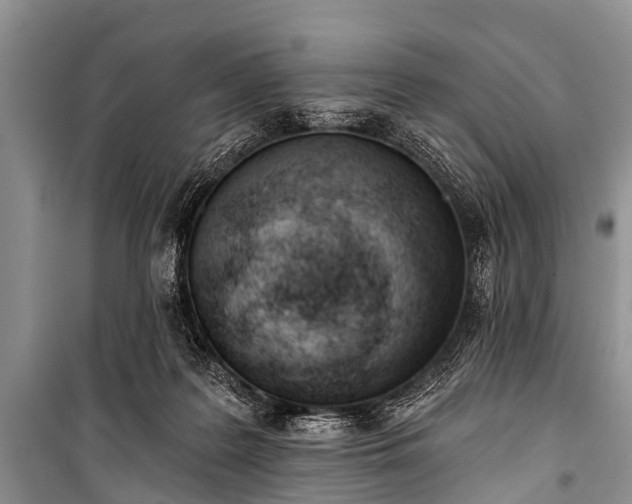 X0000100960219200807011340