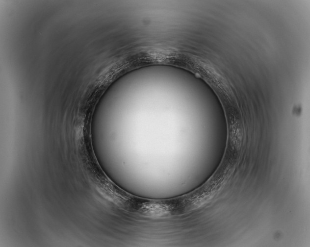 X0000100960221200807011340
