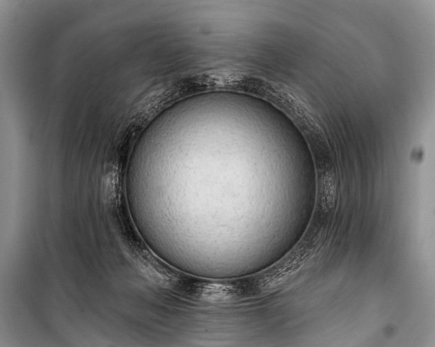 X0000100960222200807011340