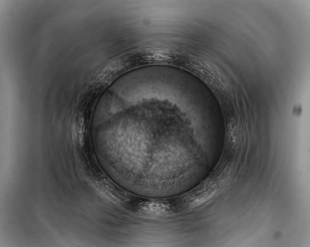 X0000100960223200807011340
