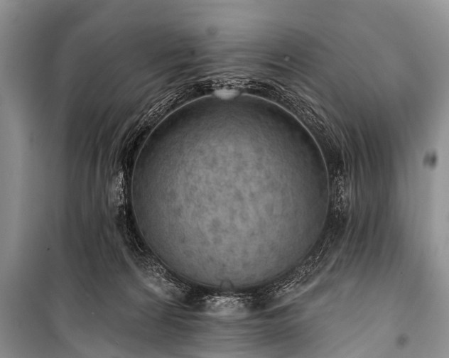 X0000100960224200807011340