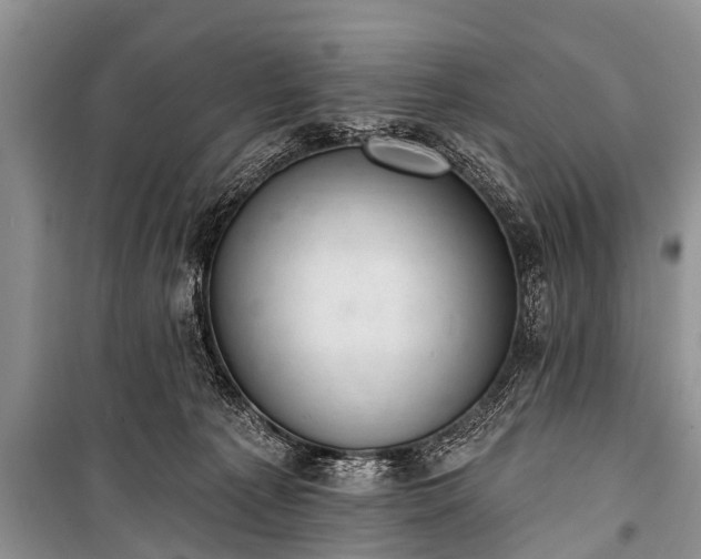X0000100960225200807011340