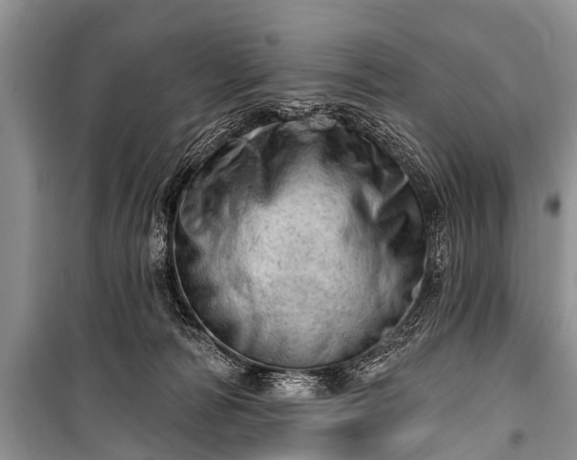 X0000100960226200807011340