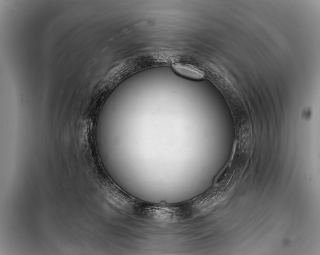 X0000100960229200807011340