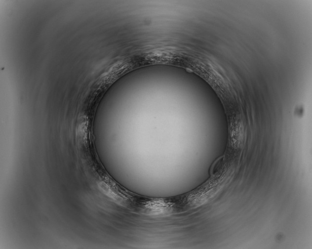 X0000100960231200807011340