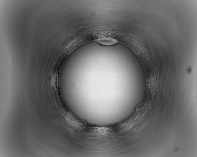X0000100960233200807011340