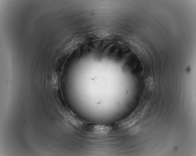 X0000100960234200807011340