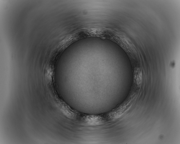X0000100960235200807011340