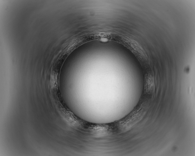 X0000100960236200807011340