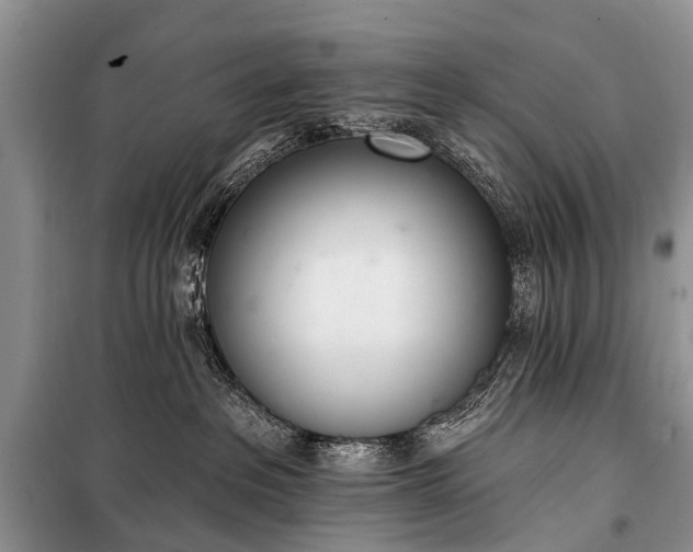 X0000100960237200807011340