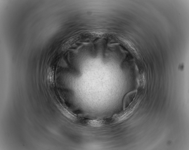 X0000100960238200807011340