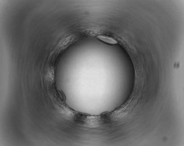 X0000100960240200807011340