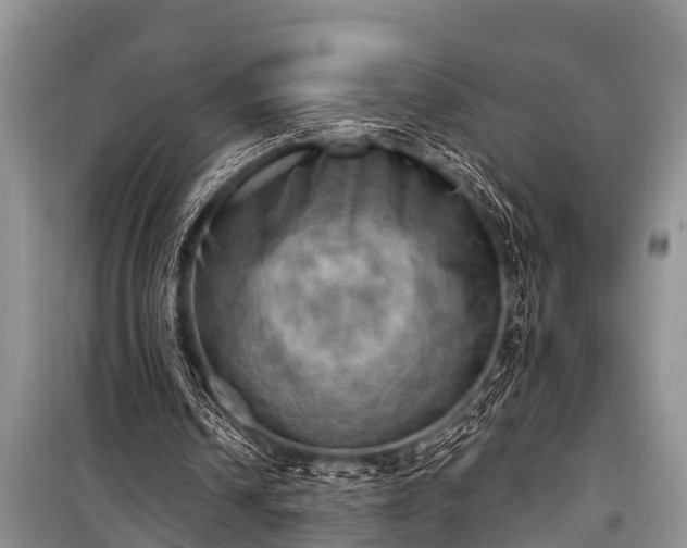 X0000100960242200807011339
