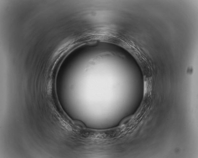 X0000100960243200807011339