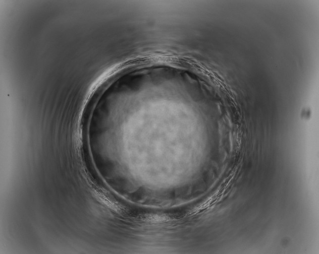 X0000100960246200807011339